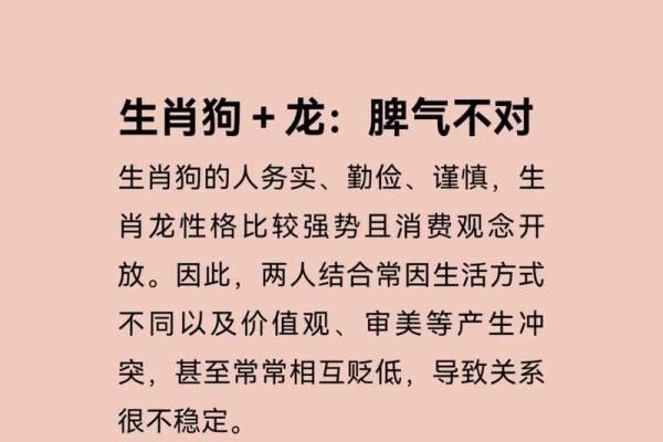 狗的属相配对婚配表