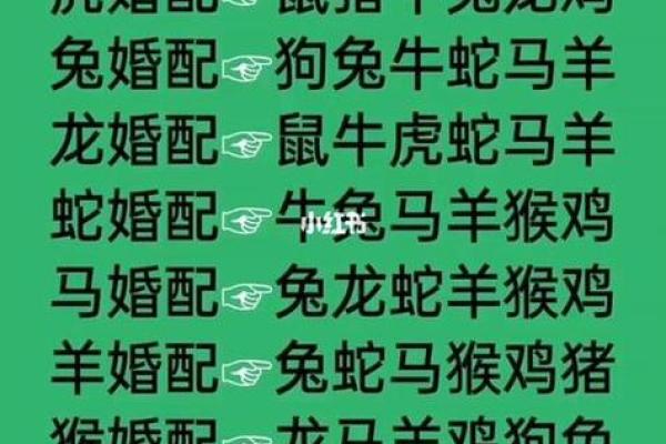 生肖蛇和生肖猪能够配对吗