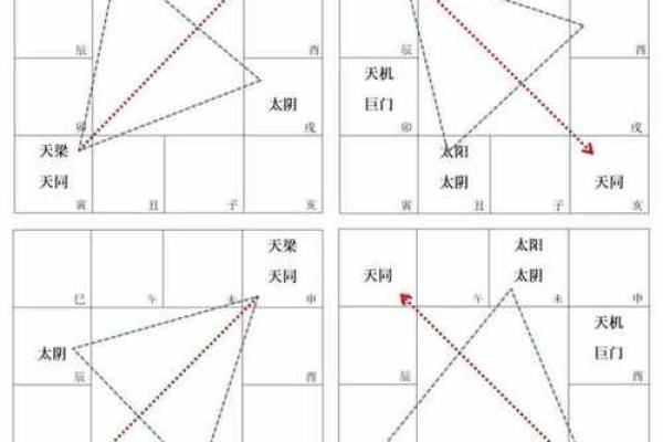 紫薇斗数基本术语见