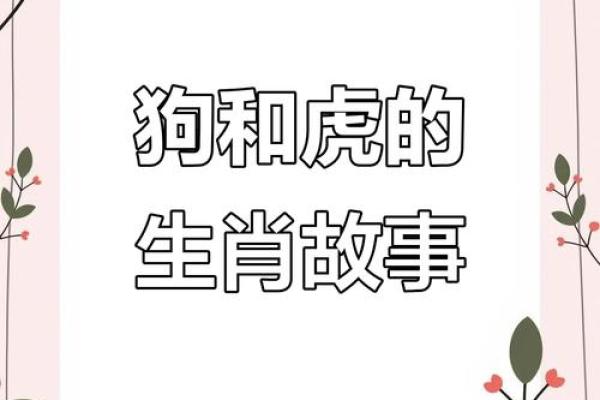 男虎女狗生肖配对姻缘 男虎女狗的属相合不合？