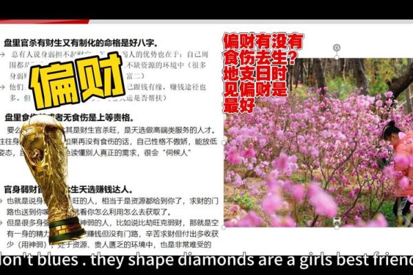 八字偏财旺是什么意思,八字里命理偏财是什么意思
