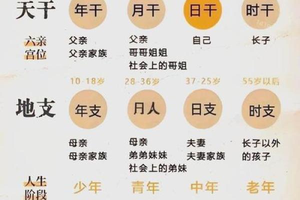 八字偏财旺是什么意思,八字里命理偏财是什么意思