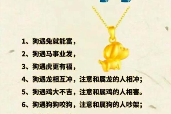 属兔去哪个城市工作好 生财方位坐北向南