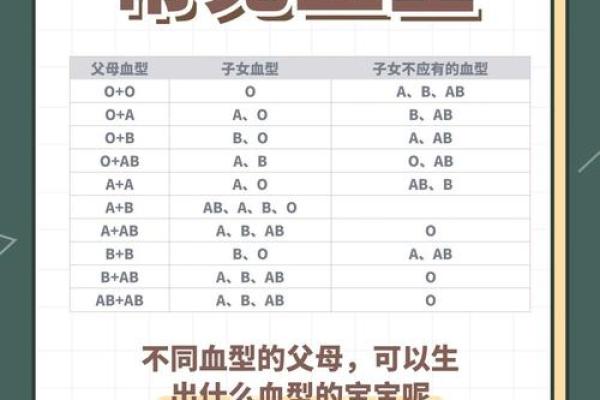 各血型能生出什么血型BB