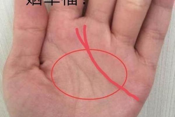 手相风水：爱情线怎么看有几段感情