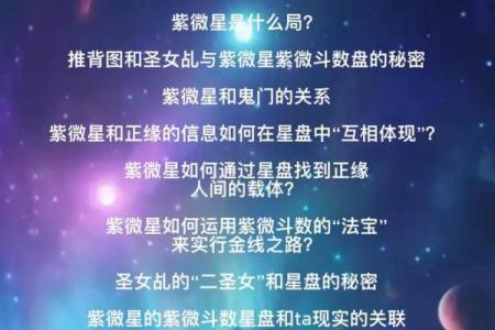 紫薇斗数学霸