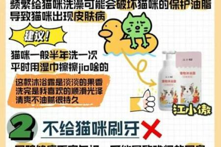 风水上哪几个生肖的人不能养猫禁忌