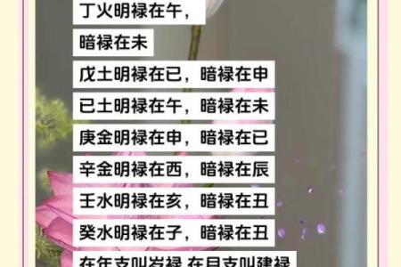 【八字背禄逐马】解析与应对技巧