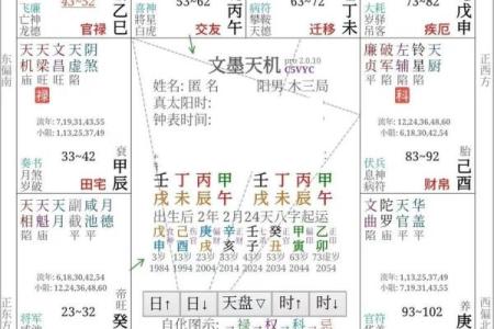 加会紫薇斗数