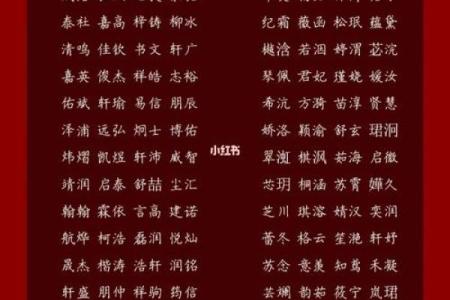 2019年5月16号寅时出生的男孩起名时要注意什么姓名