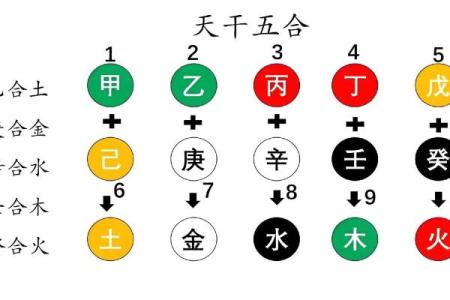 八字干支和命理关系大吗
