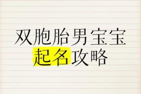 双胞胎取名字时你所不知的3方法和2个经典方法-姓名学-华易网姓名