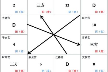 紫薇斗数基本术语见