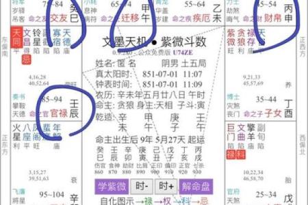 紫微斗数嫁 紫微斗数嫁二婚男？