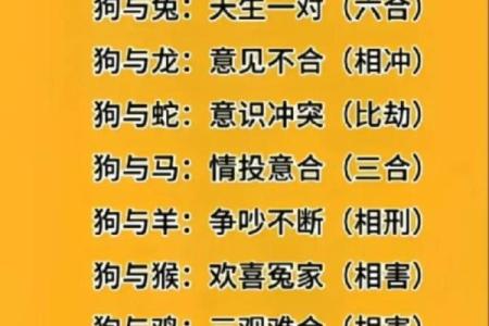 男虎女狗生肖配对姻缘 男虎女狗的属相合不合？