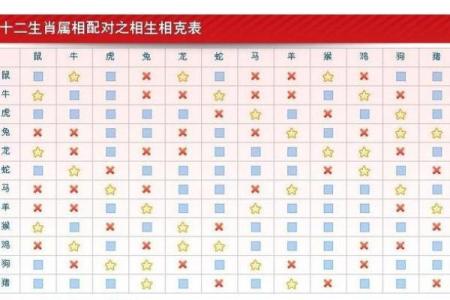 生肖配对属鼠属鸡的婚姻怎么样