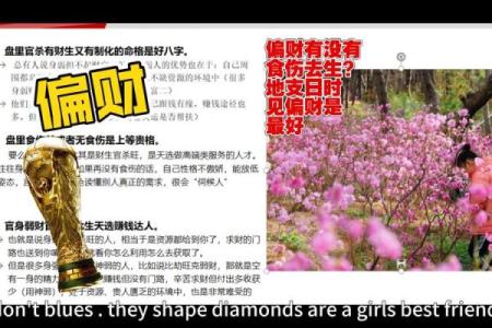 八字偏财旺是什么意思,八字里命理偏财是什么意思