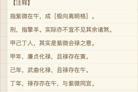 中洲紫薇斗数
