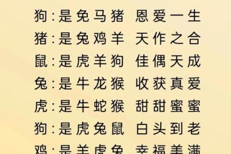 生肖属相配对表 十二生肖属相配对表