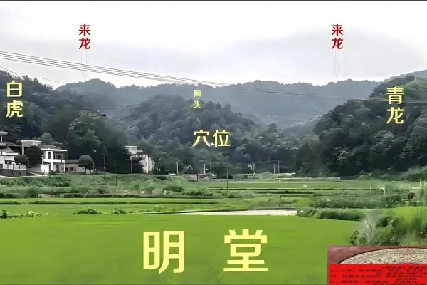 最发人丁的坟地风水