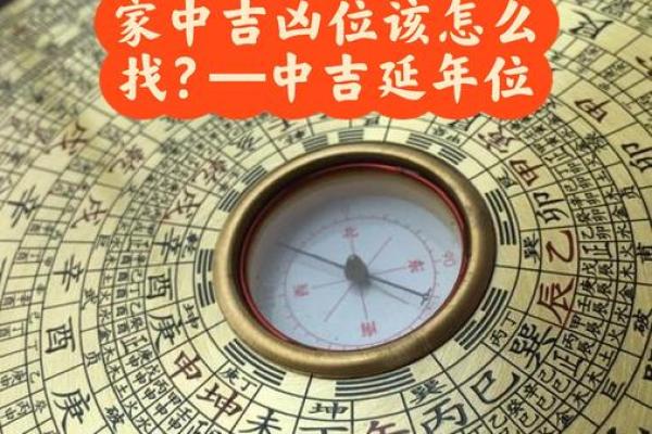 风水学家的攻略