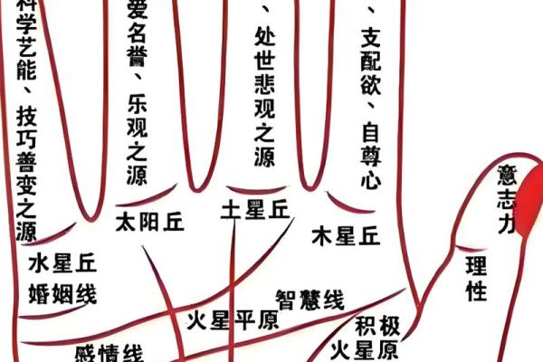 断掌手相算命说法及含义