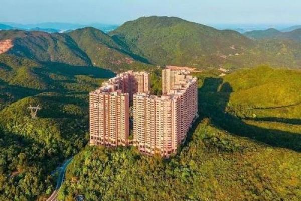 哪个风水大师给看看房子