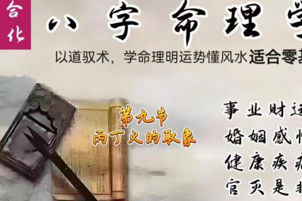 八字-丁火体象