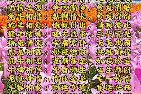 姓名婚姻缘分配对