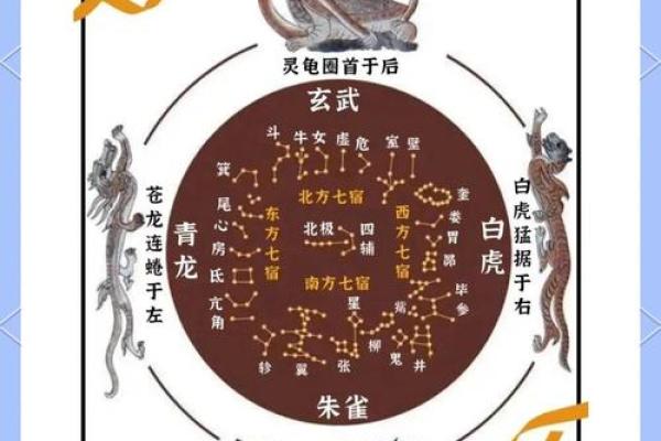 二十八星宿星座吉凶表
