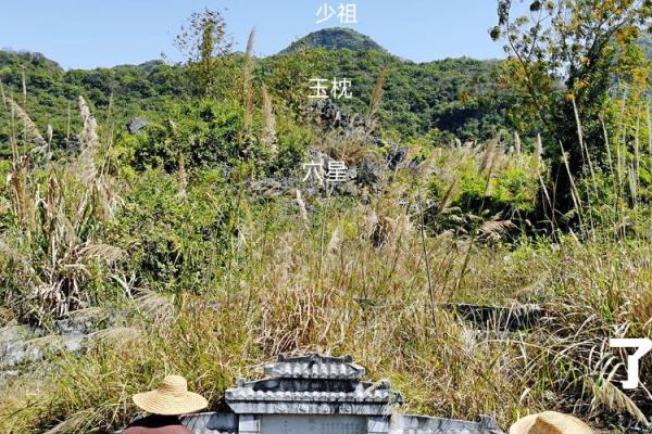 如何看坟地风水，坟地如何选择