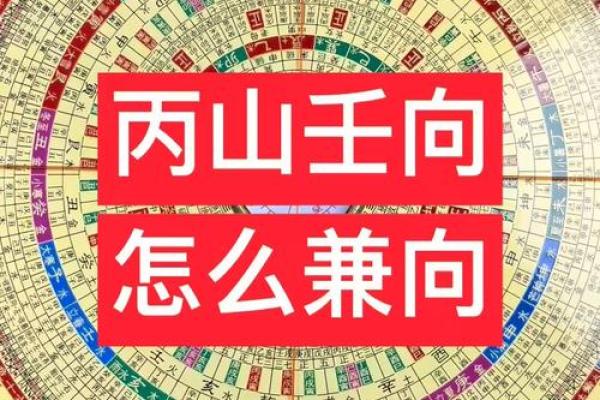 丙山壬向兼午子风水
