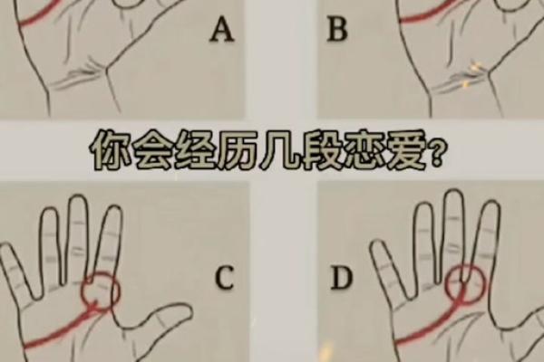 测试一生会有几段恋情