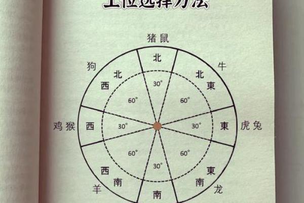 属牛的狮子座和属蛇的双子座配对吗