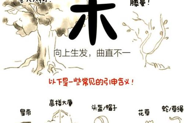 八字甲木命