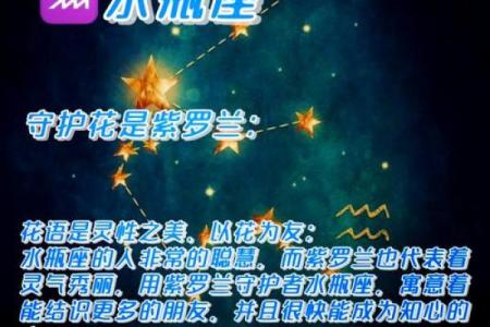 十二星座本命花花语,12星座专属花语