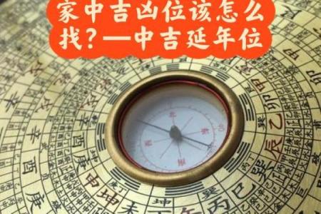 风水学家的攻略