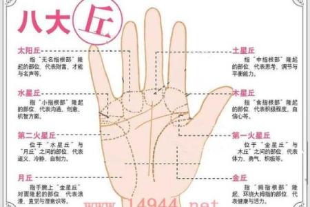 断掌手相算命说法及含义