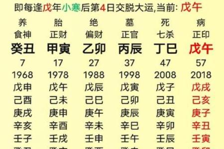 八字-丁火体象
