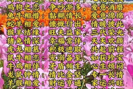 姓名婚姻缘分配对