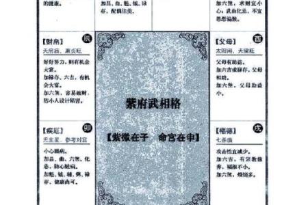 紫薇斗数爆发格局