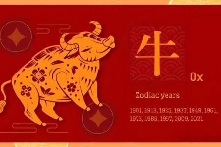 测你2024和属牛人的爱情配对指数是多少