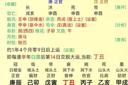 女命八字无官杀走官杀运的意思有哪些呢