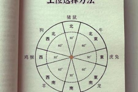 属牛的狮子座和属蛇的双子座配对吗