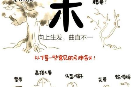 八字甲木命