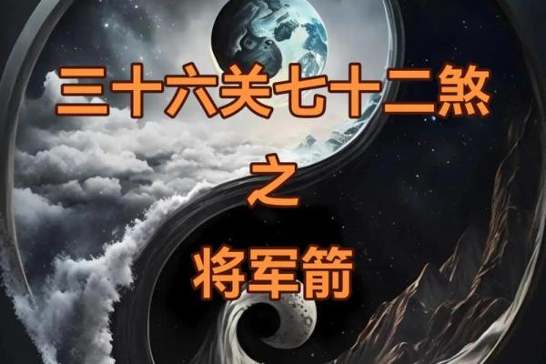 将军的八字