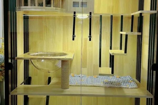 家里如何建个猫房子呢风水