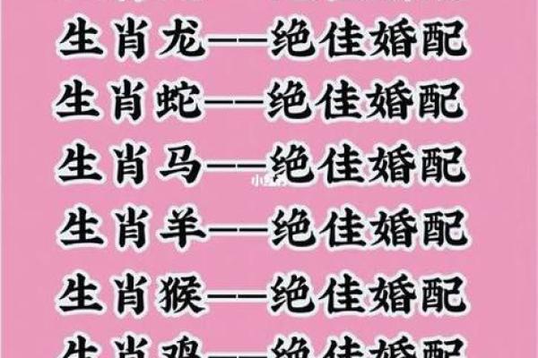 1996年属什么生肖配对
