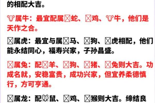 1996年属什么生肖配对