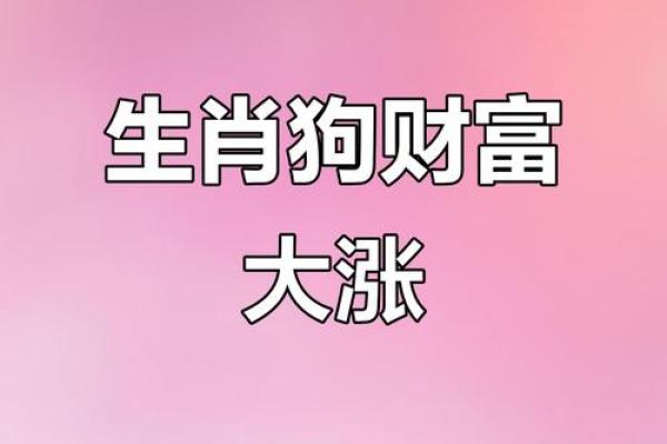 属狗的财运方位 从地支所在方向查看 西北方和东方都是不错的
